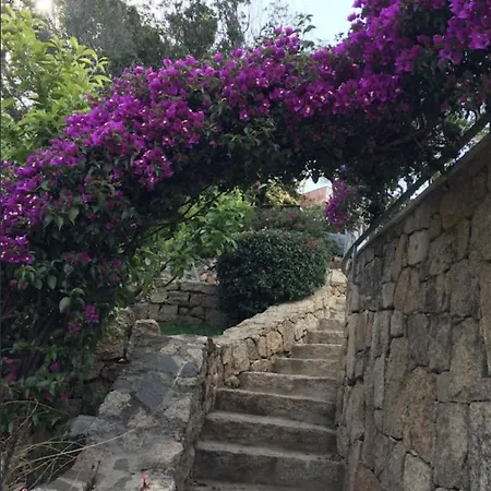 Villa Ilaria Villa Baja Sardinia